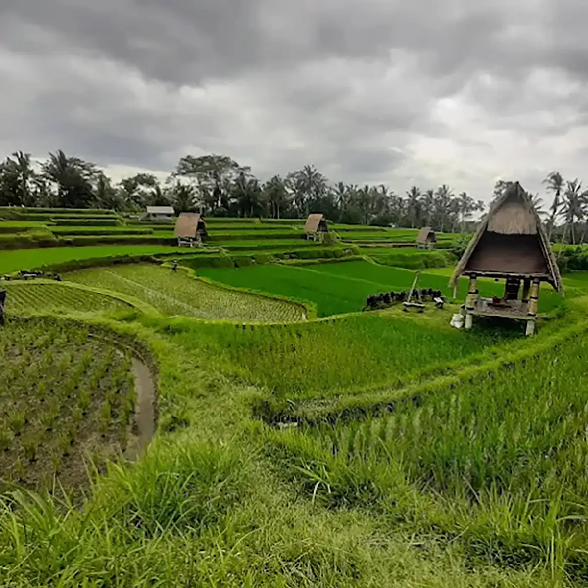 Batan Nyuh Retreat