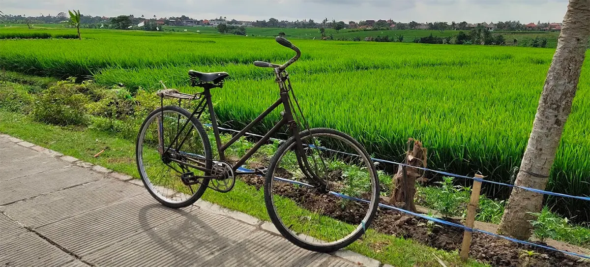 Subak Uma Desa