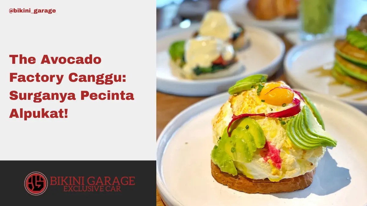 The Avocado Factory Canggu Surganya Pecinta Alpukat Cover