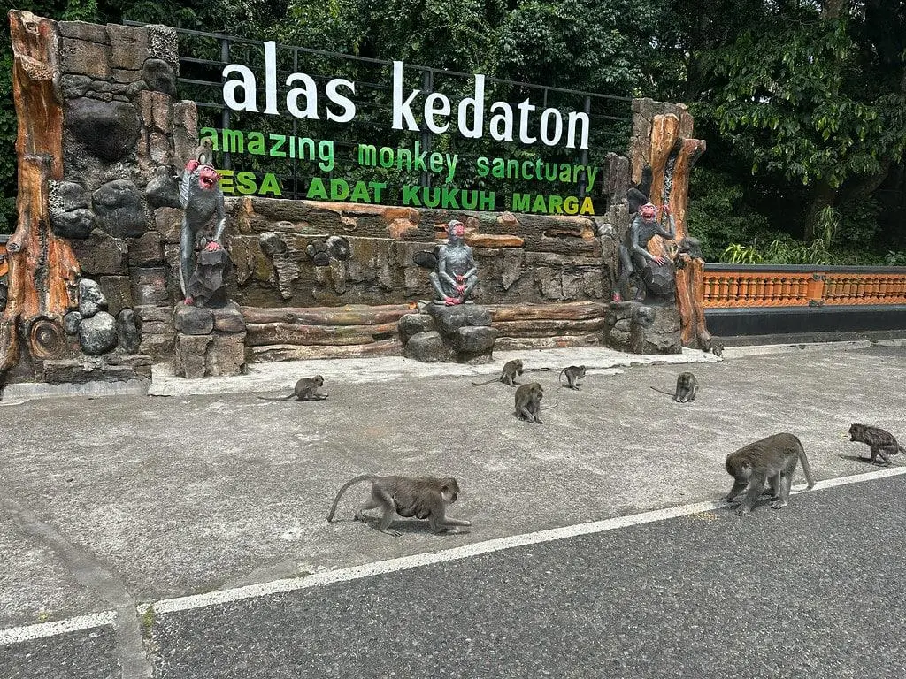 Alas Kedaton