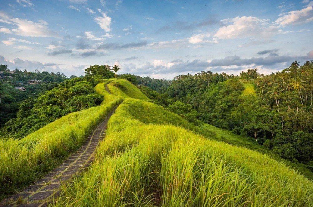 Campuhan Ridge Walk