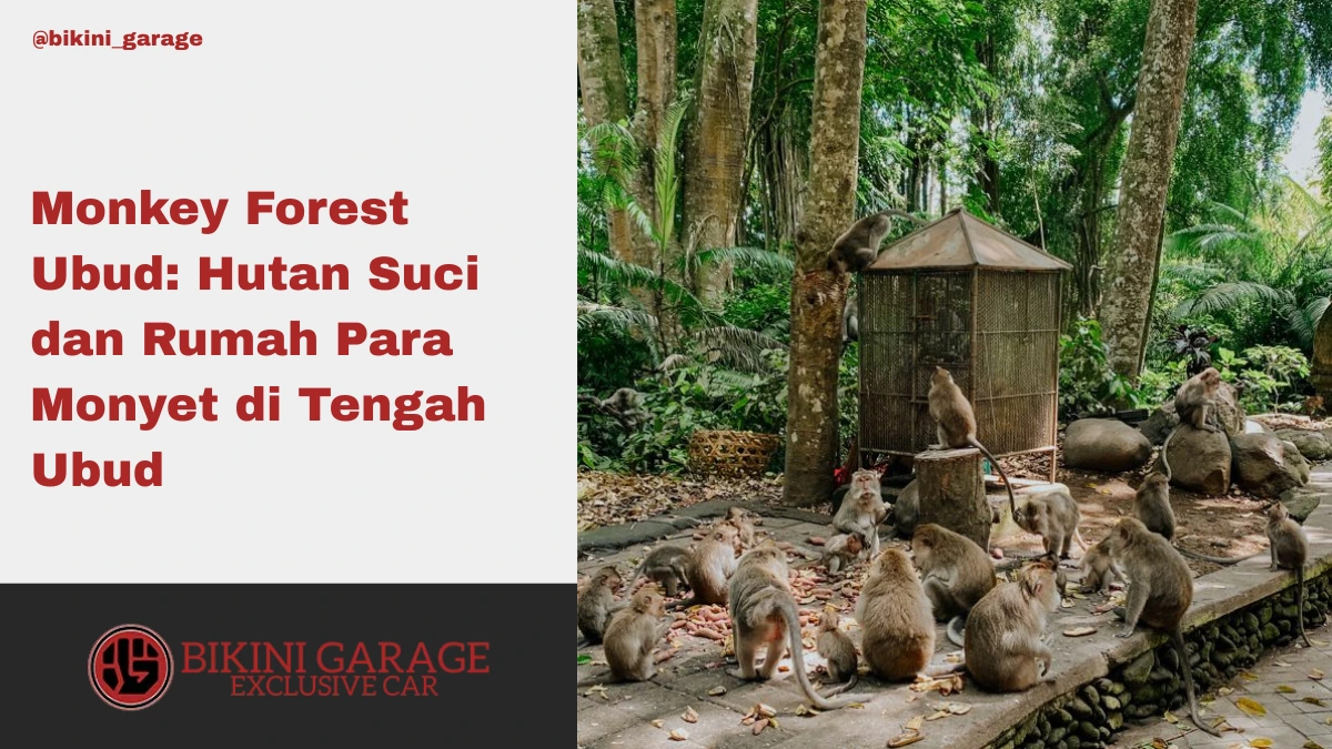 Monkey Forest Ubud Hutan Suci dan Rumah Para Monyet di Tengah Ubud Thumbnail Cover