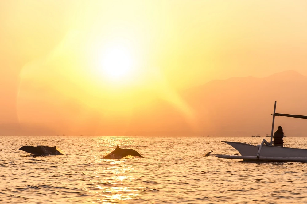 Pantai Lovina Sun Rise