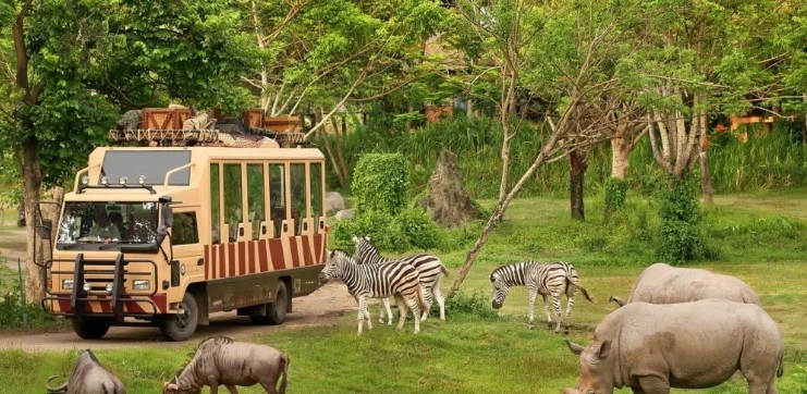 Bali Safari