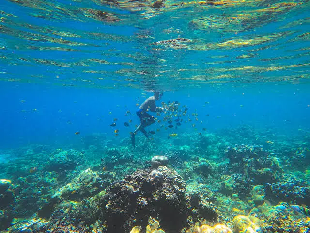 Amed dan Jemeluk Bay Snorkeling