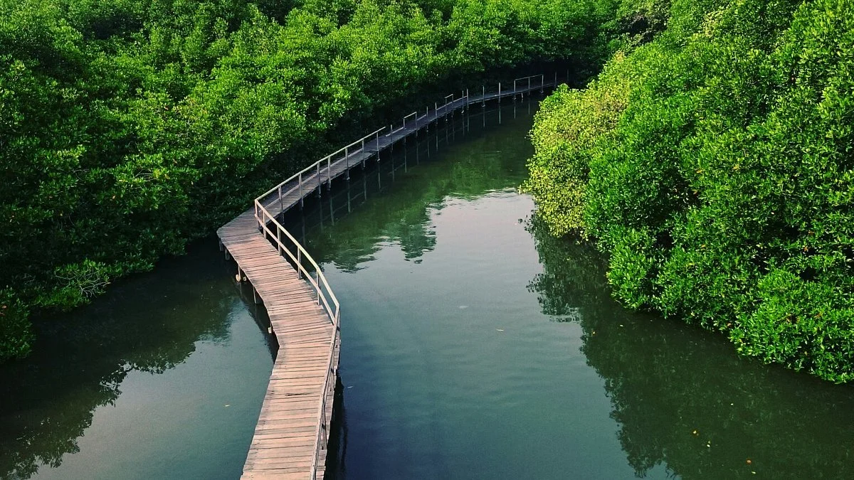 Mangrove Information Center (MIC) Sanur
