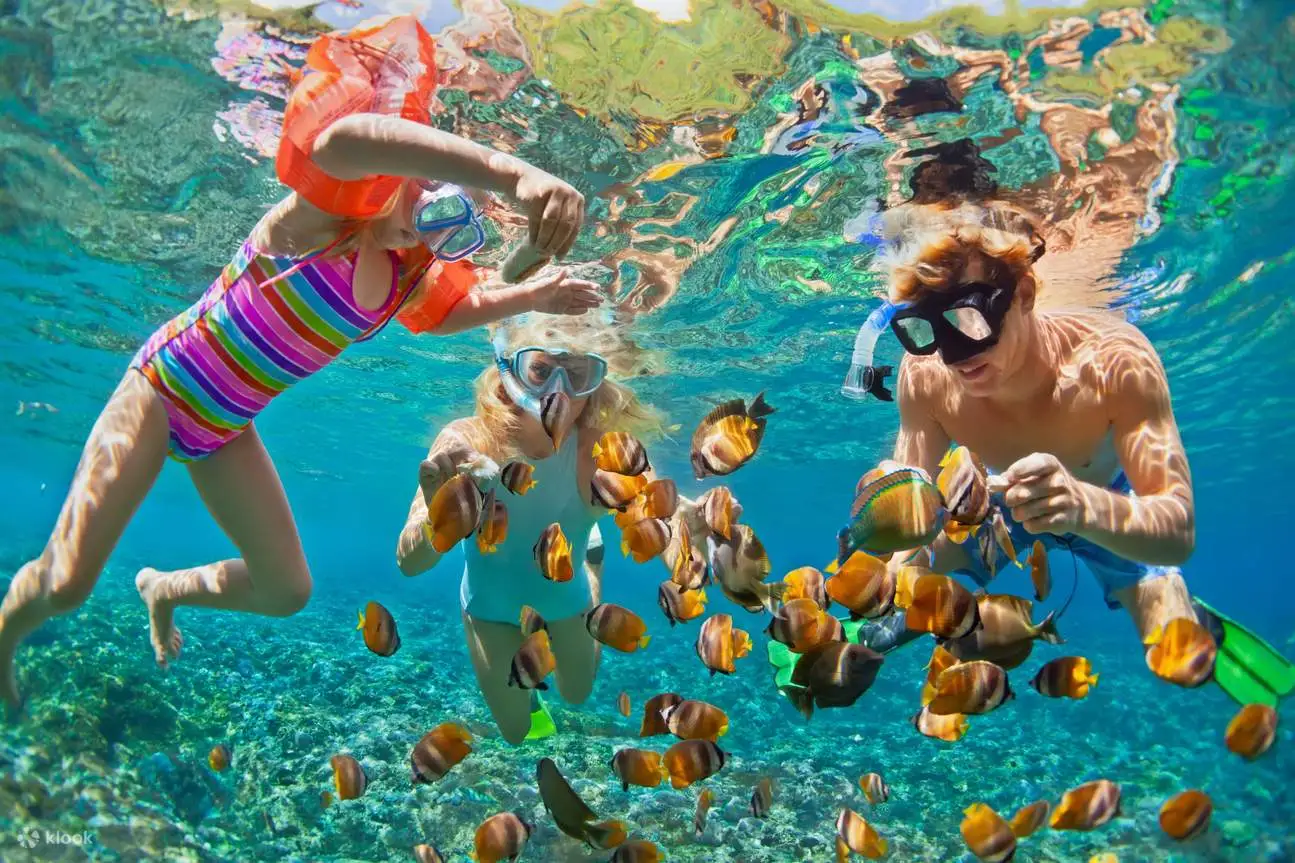 Mangrove Point, Nusa Lembongan Snorkeling
