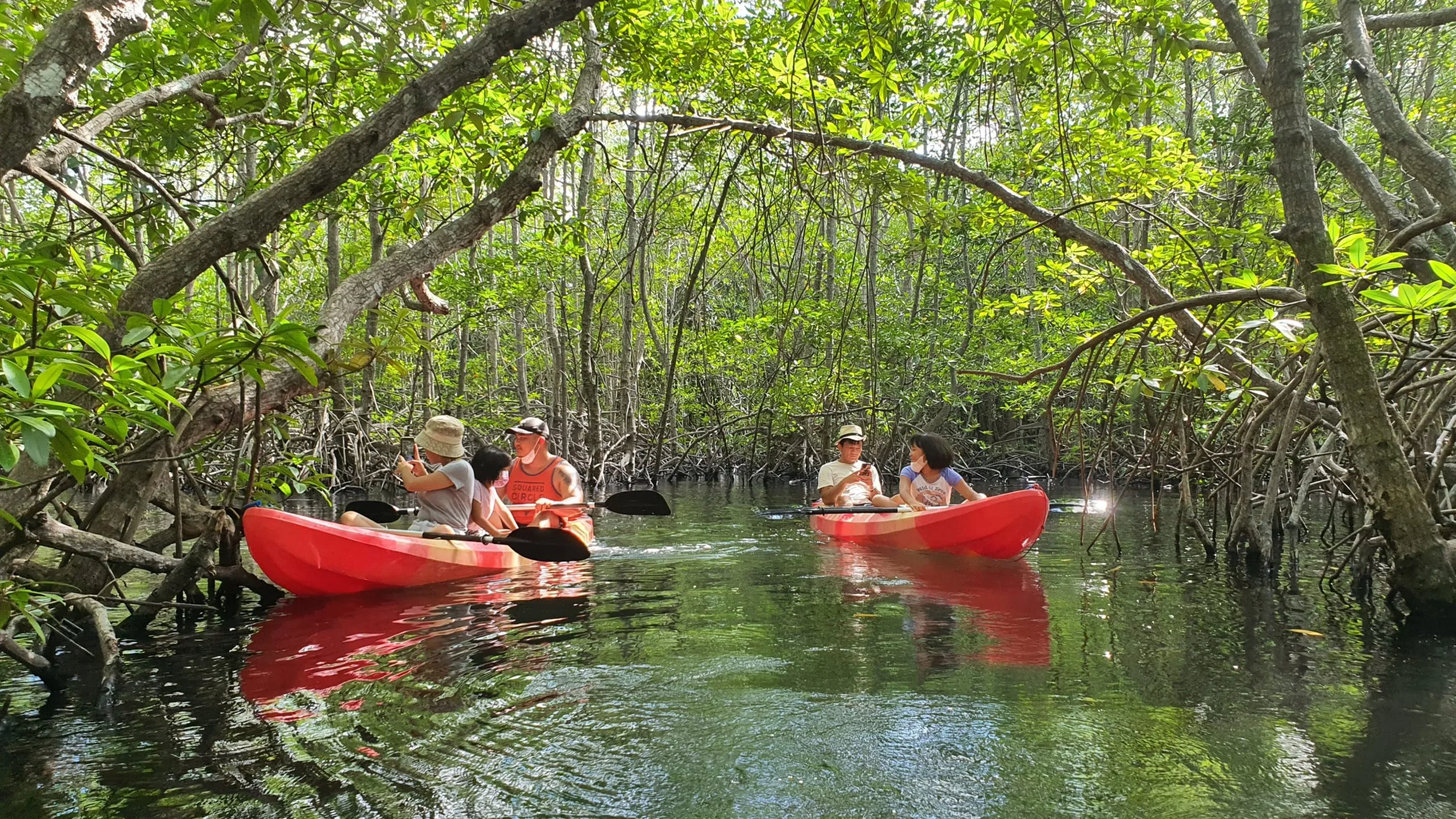 Mangrove Tour Nusa Lembongan