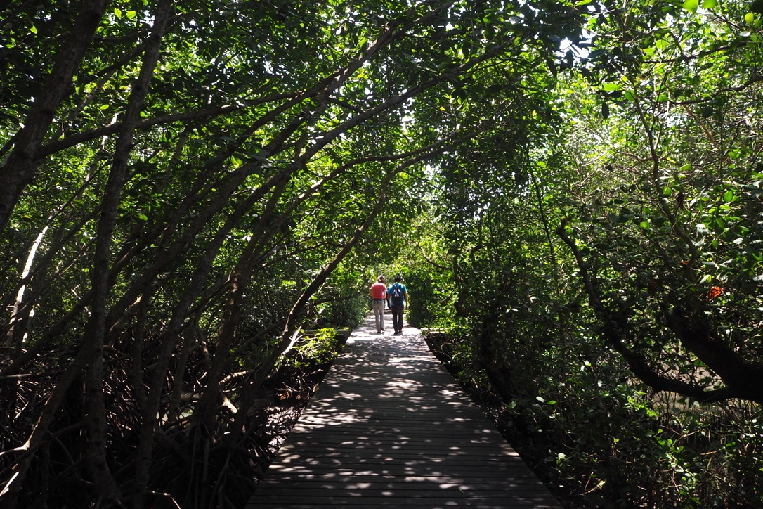 Taman Hutan Raya Ngurah Rai