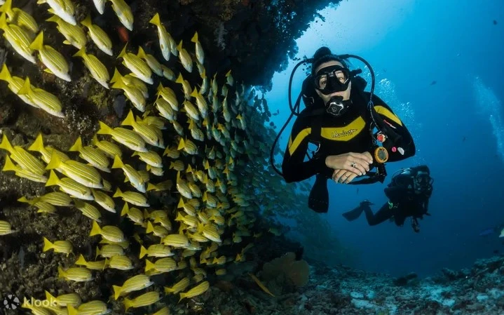 Tulamben dan Bangkai Kapal USAT Liberty Snorkeling
