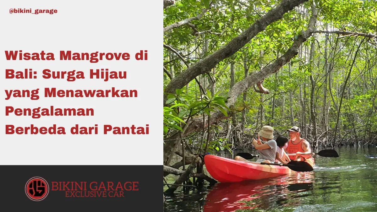 Wisata Mangrove di Bali Thumbnail Cover