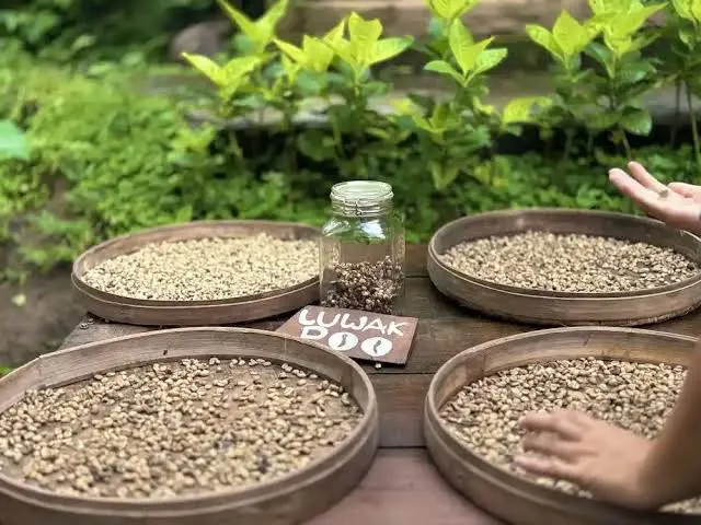 Hidden Garden Coffee
