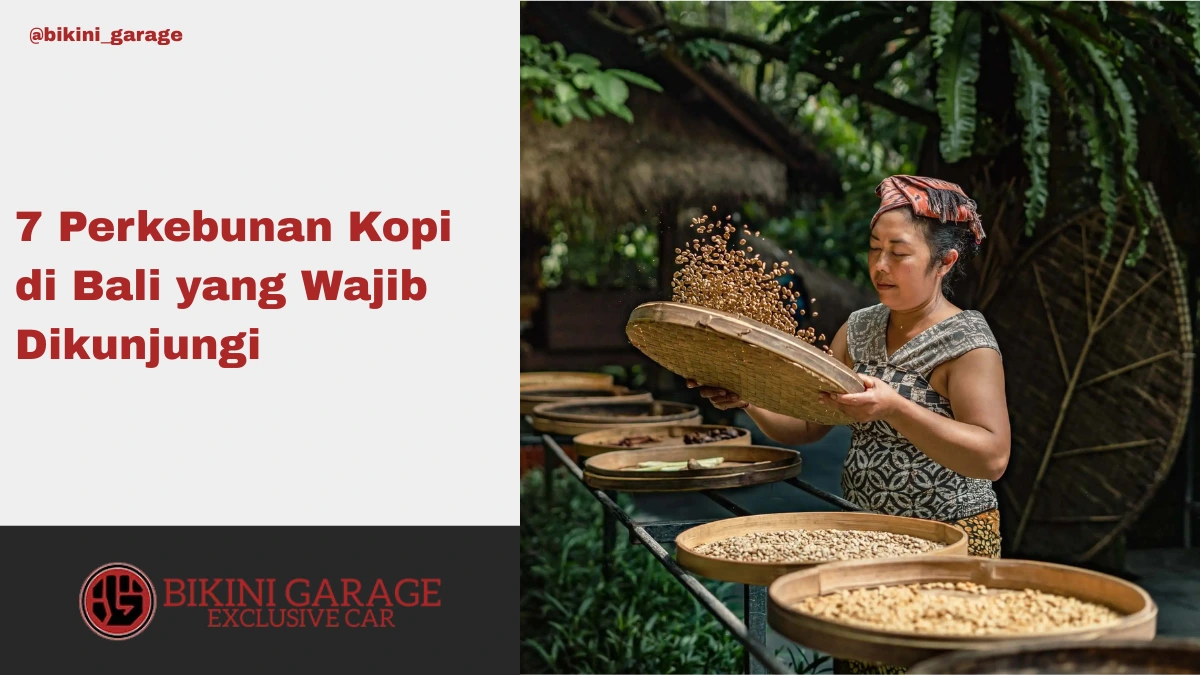 Perkebunan Kopi di Bali