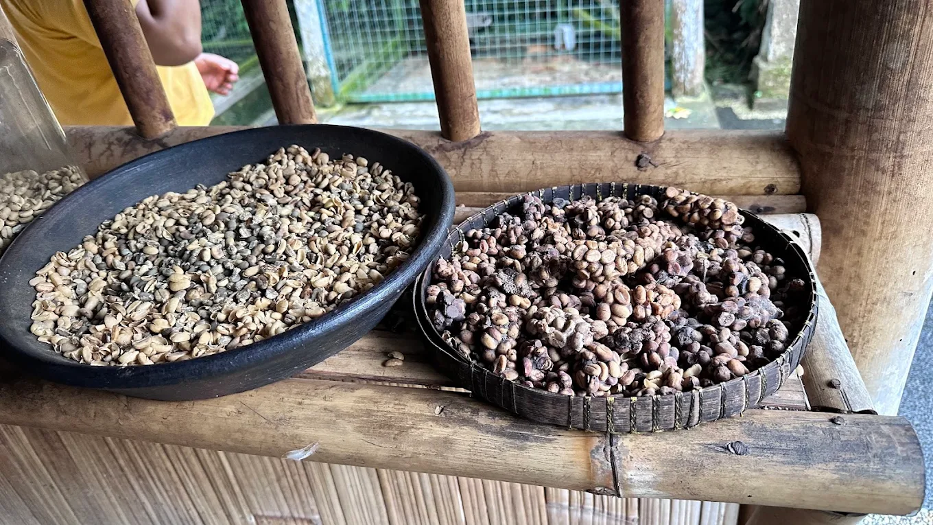 Uma Pakel Agro Tourism