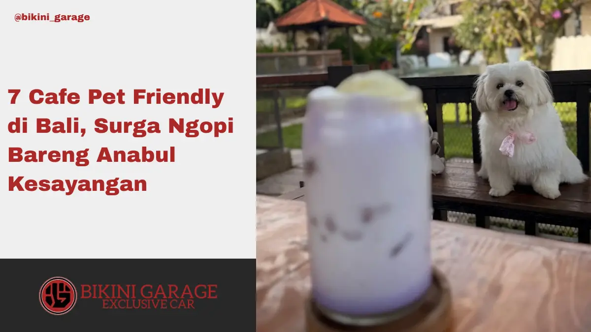 Cafe Pet Friendly di Bali Thumbnail Cover