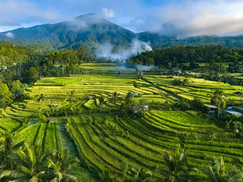 Tegalalang